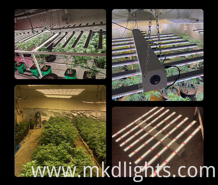 MAKSDEP 600w grow light